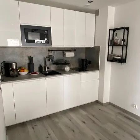Apartament Leśny Pogłos *