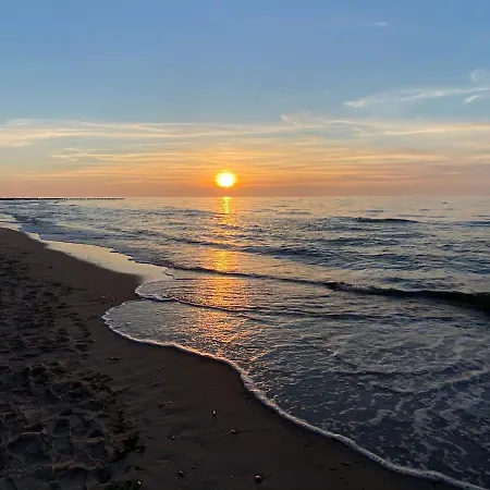 Apartament Leśny Pogłos