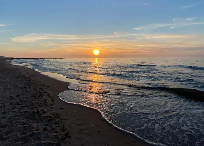 Apartament Leśny Pogłos